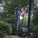 Gatorback Tree Service - Tree Service