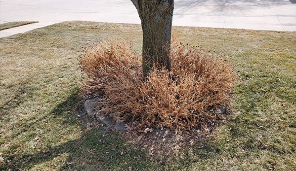 Avalon Gardens - Omaha, NE