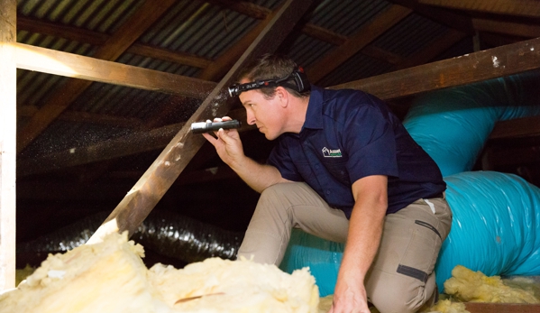 Asset Building & Pest Inspections