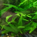 Tropical Treasures - Aquariums & Aquarium Supplies