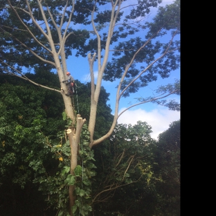 Niu Mana Palm & Tree Care LLC - Kalaheo, HI