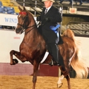 Liberty Farm Equestrian Center - Horse Training