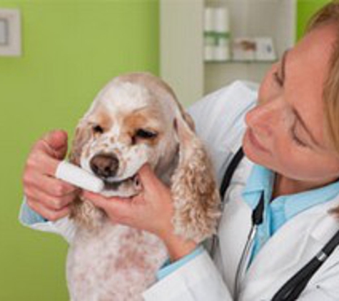 Avenue Animal Hospital, PC - Tinley Park, IL