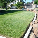 The Lawn Mon - Landscaping & Lawn Services
