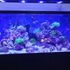 续航教育(Forward Pathway LLC) gallery