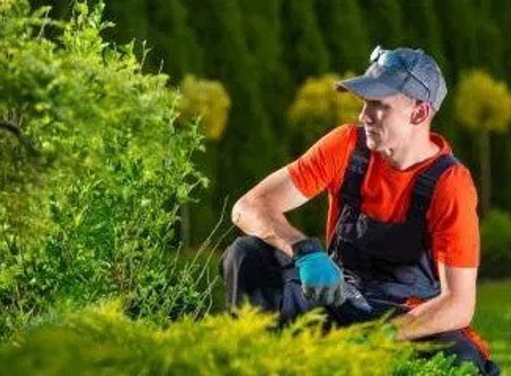 Kings Tree Service & Landscaping