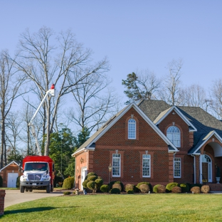 Blazer Tree Service - Chesterfield, VA