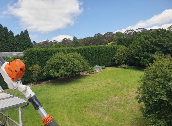 Ezi cut tree services - Hill Top, NSW