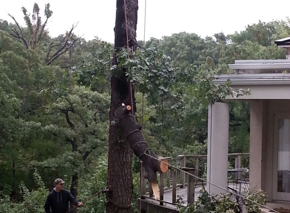 Midtown Tree Service