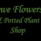 Awe Flowers & Potted Plant Shop