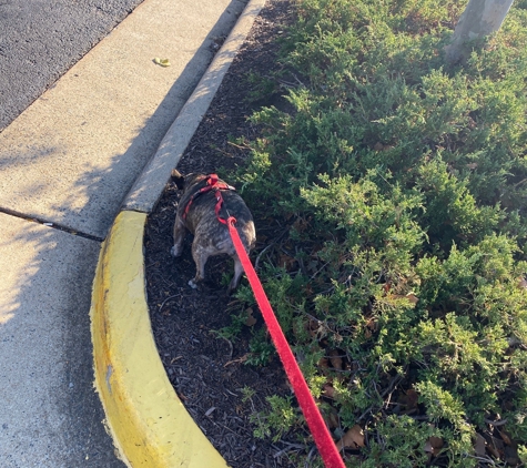 PetSmart - Reston, VA