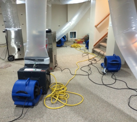 Arya Carpet & Upholstery Care and Water Damage Restoration - Columbus, OH