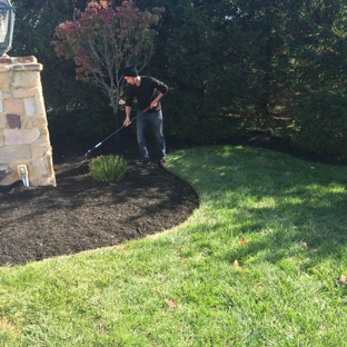 Innovation tree services and landscaping - Somerset, NJ