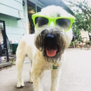 Cheers Bottle Opener Sunglasses - Sunglasses
