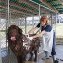 North Kingstown Animal Hospital - Veterinary Clinics & Hospitals