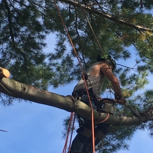 Extreme Tree and Landscape - Tallahassee, FL