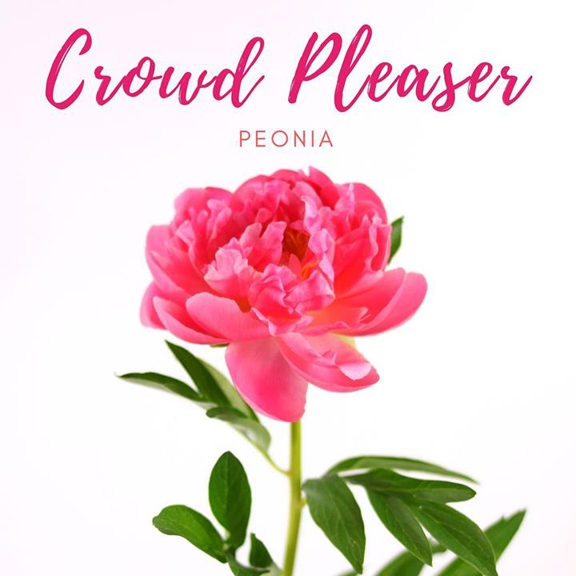 Carousel Gallery #51