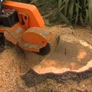 Dj's Stump Grinding - Tree Service