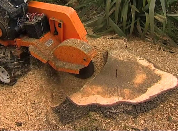 Dj's Stump Grinding - Rock Hill, SC