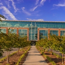 Dallis Law Firm, P.A. - Attorneys