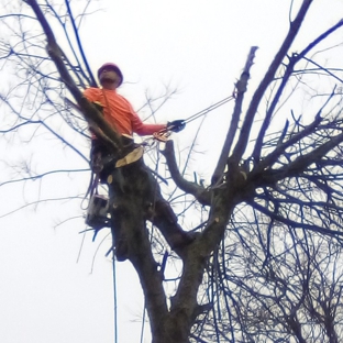 PAULS TREE SERVICE - Dickinson, TX