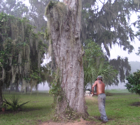 Dan The Stump Man - Marshallville, GA