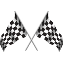 Checkered Flag Imports Inc - Auto Repair & Service