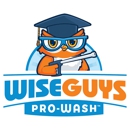 WiseGuys Pro-Wash - Water Pressure Cleaning
