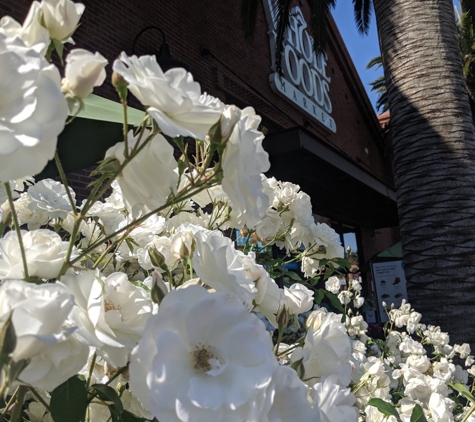 Whole Foods Market - Fremont, CA