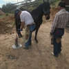 C&R horse shoeing gallery