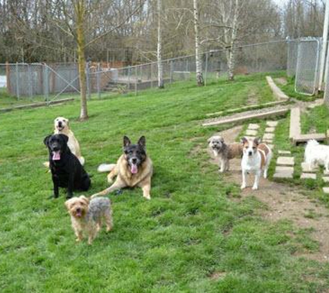 Holidays Dog Boarding - Salem, OR