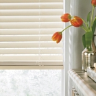 Presidential Window Products