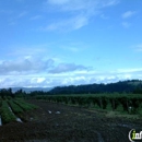 Fujii Farms - Farms