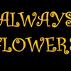 Always Flowers gallery