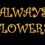 Always Flowers