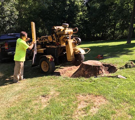 Miller Tree Service - Spring Grove, IL