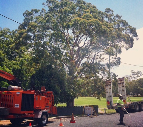 Horizon Total Tree Service - Tomakin, NSW