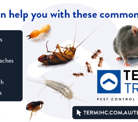 Termitrust Pest Control Experts - Kunda Park, QLD. We Can Help You With These Common Pests