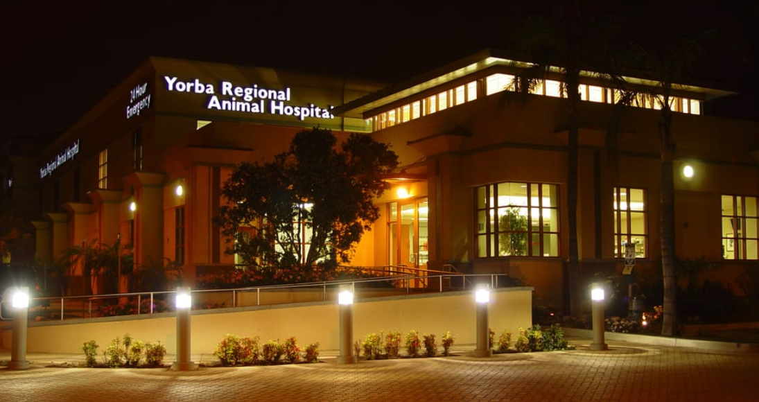 VCA Yorba Regional Animal Hospital 8290 