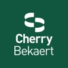 Cherry Bekaert gallery