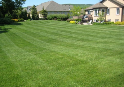 Select Lawn Care Of Lake Norman Corp, Swim Lawn And Landscape Mooresville Nc