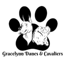 Gracelynn Danes and Cavaliers - Pet Breeders