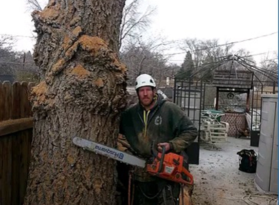 The Tree Professional LLC - Reno, NV