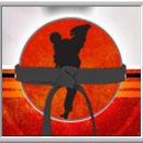 Phoenix Taekwondo Inc - Martial Arts Instruction