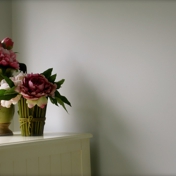 Gallery Image Number 8
