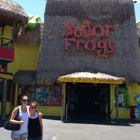 Senor Frogs