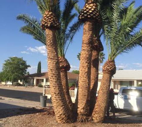 Niagara Sprinkler & Landscapes - Wittmann, AZ