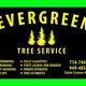 Evergreen Tree service