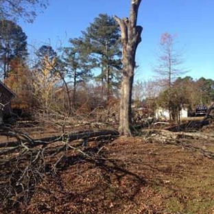 Harpers Tree Service - Valhermosa Springs, AL