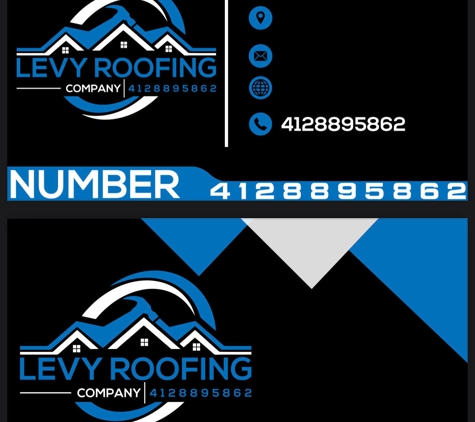 Levy Roofing Company